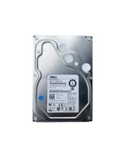 DELL EnterPrise 1TB 7.2K Sata 6Gbps 3.5'' Sunucu Harddisk MG03ACA100 HDEPQ03D0A51 03C46