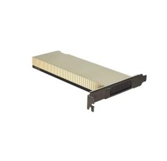 DELL Nvidia L4 Ada 24GB Passive 72W Low Profile GPU Ekran Kartı V9XT2 0NG3PY