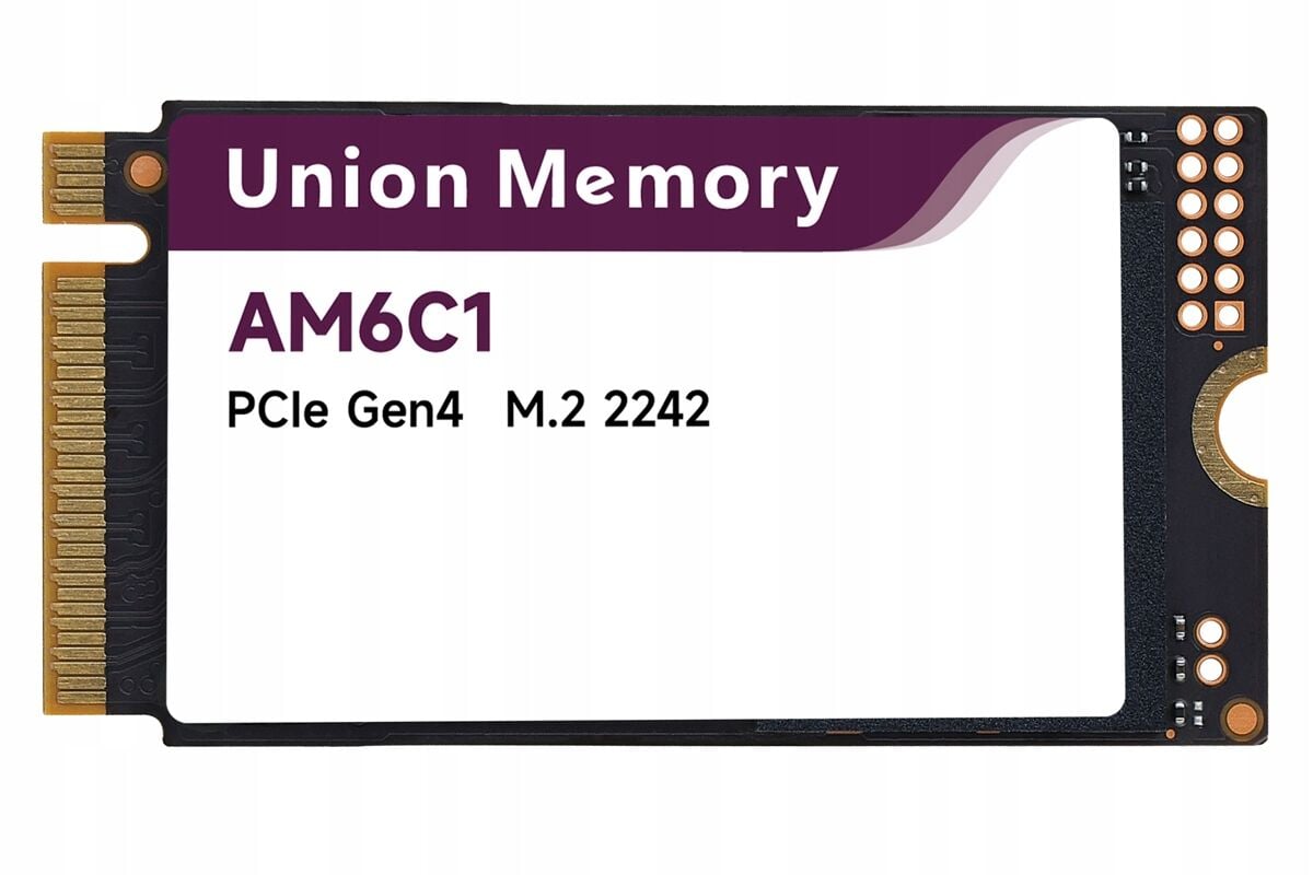 Lenovo Union Memory AM6C1 1TB NVMe M.2 2242 PCIe Gen4x4 SSD RPJYJ1T24MML1AWQ SSS1D71533